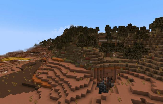 Bióm Wooded Badlands v Minecrafte.